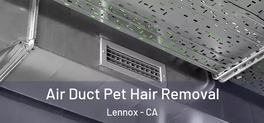  Air Duct Pet Hair Removal Lennox - CA