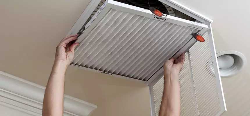 Preventive Cockroach-Proofing for Ducts in Lennox