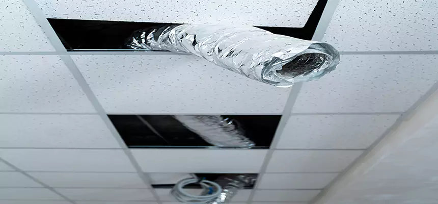 Affordable HVAC Sanitizing After Pest Removal in Lennox