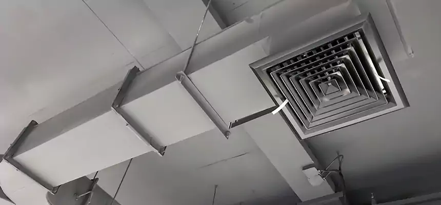 Restorative Allergy Relief Vent Cleaning – Coil, Blower & Housing Detail in Lennox