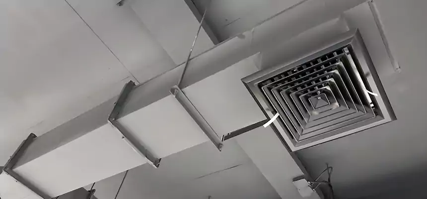 Our Rodent Droppings In Vents Services in Lennox, CA