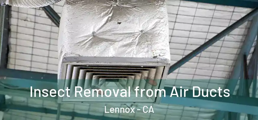  Insect Removal from Air Ducts Lennox - CA