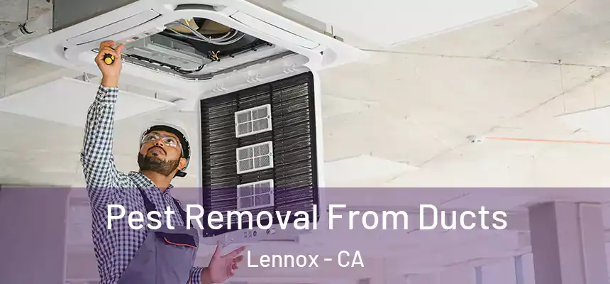  Pest Removal From Ducts Lennox - CA