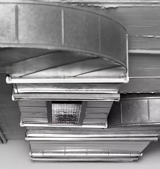 Professional Air Duct Pest Removal in Lennox, CA