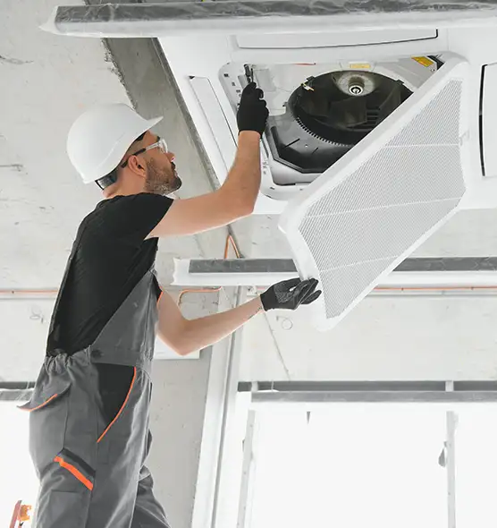 About Air Duct Rodent Removal in Lennox, CA