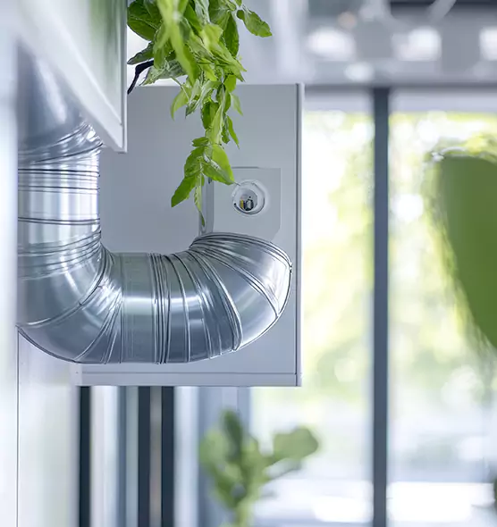 Professional Eco-Safe Dryer Vent Cleaning in Lennox, CA