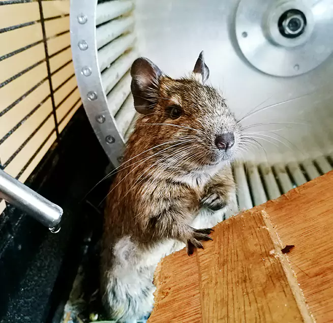 Why Homeowners & Businesses Trust Us Lennox, CA