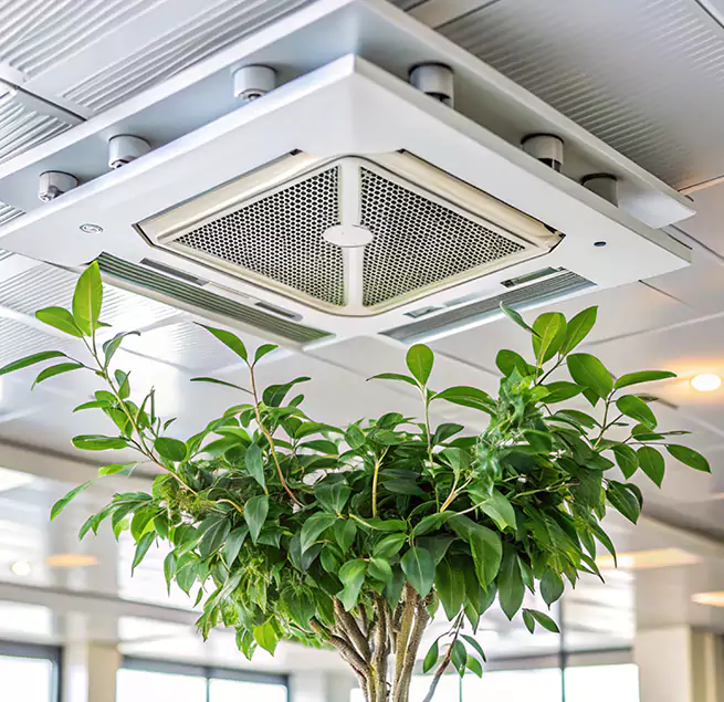 Why Homeowners & Businesses Trust Us in Lennox, CA?