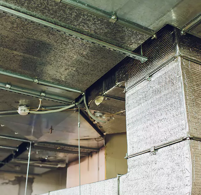 Why Homeowners & Businesses Trust Us in Lennox, CA?